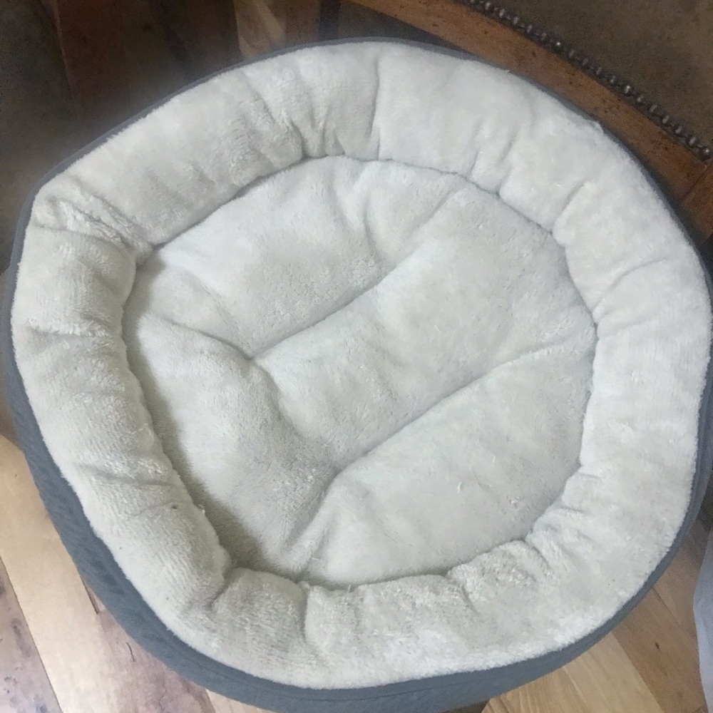 Cat bed